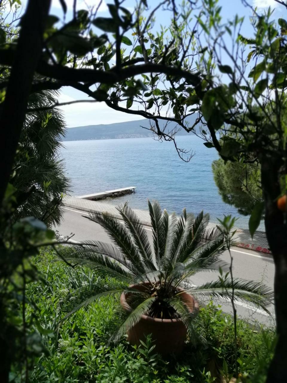 Olive Tree Apartments Tivat Exterior photo